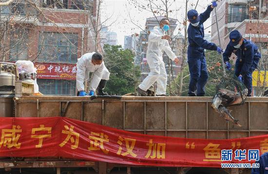 3月13日，一批運(yùn)到湖北省武漢市硚口區(qū)華生漢口城市廣場(chǎng)社區(qū)的活魚在卸貨。當(dāng)日，首批100噸調(diào)配自咸寧市的活魚運(yùn)抵武漢市硚口區(qū)11個(gè)街道下轄社區(qū)。 新華社記者 程敏 攝